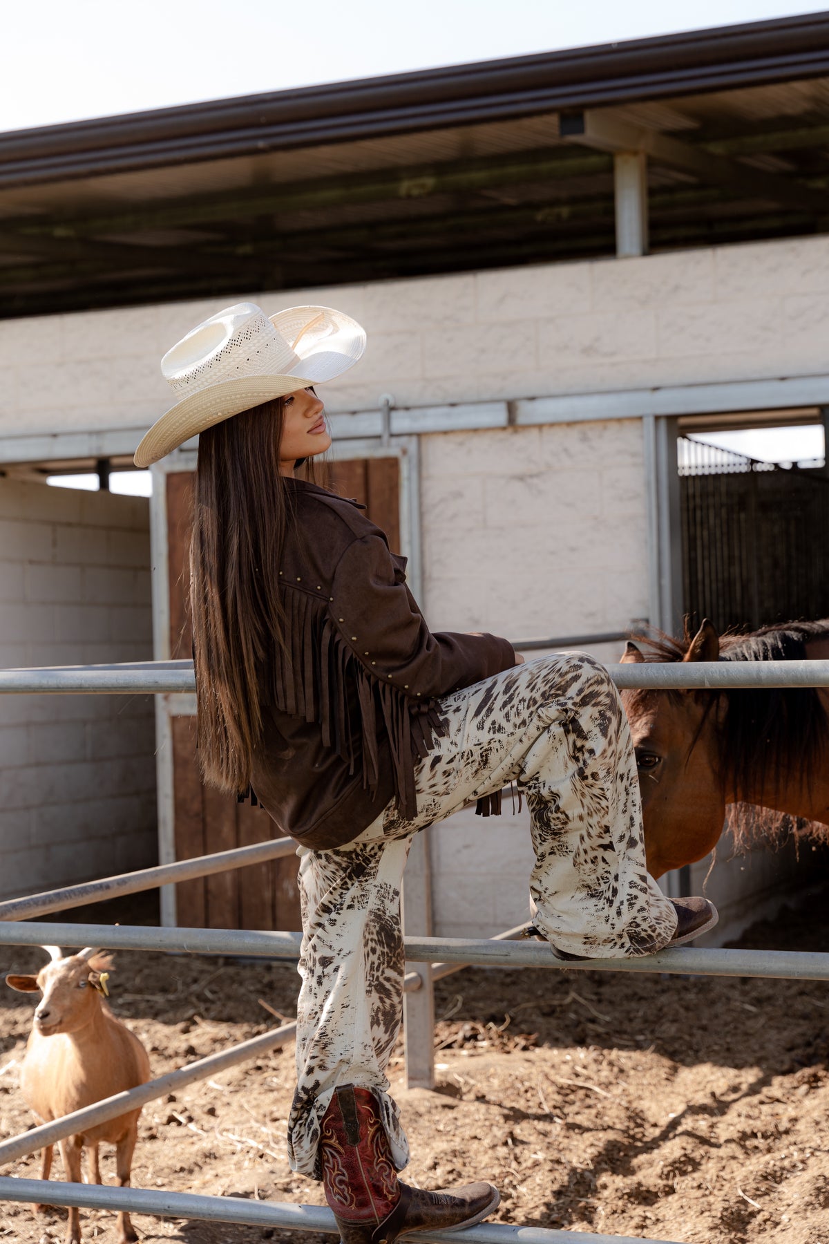 Giacca Horse